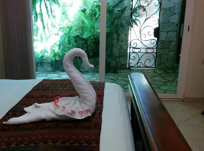 Casa Beard, Spacious With High Speed Wifi & Pool. *