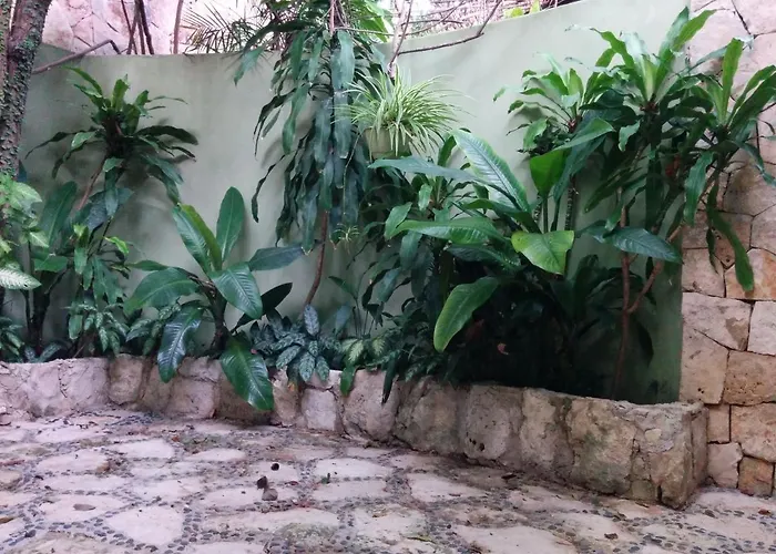 Hébergement de vacances Casa Beard, Spacious With High Speed Wifi & Pool.