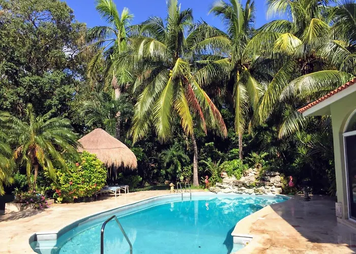 Casa Beard, Spacious With High Speed Wifi & Pool. Playa del Carmen